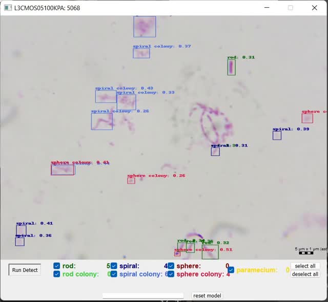 Microscopy software interface — video still